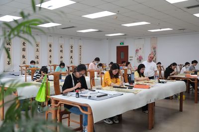 687門課程等你來選！深圳公益文化藝術培訓“總分校”正式起航